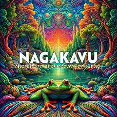 Nagakavu - Recorded at TRiBE of FRoG Spring Finale - April 2024