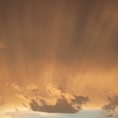 Exclusive Piece Of Luxury [Prod. TR4SHM3N]