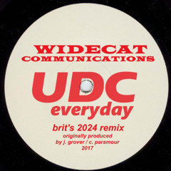 Everyday (brit's 2024 Remix)