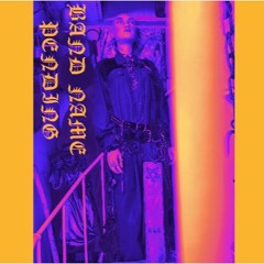 rockin in the free world (Neil Young cover)