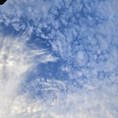 회상