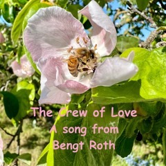 The Crew of Love  (Lyrics in description)- 2025-05-31 13.17