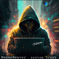 System Break