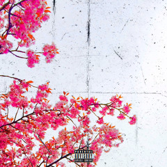 Your Heart Is Such A Trap w/ Kona(Prod.majinaru)