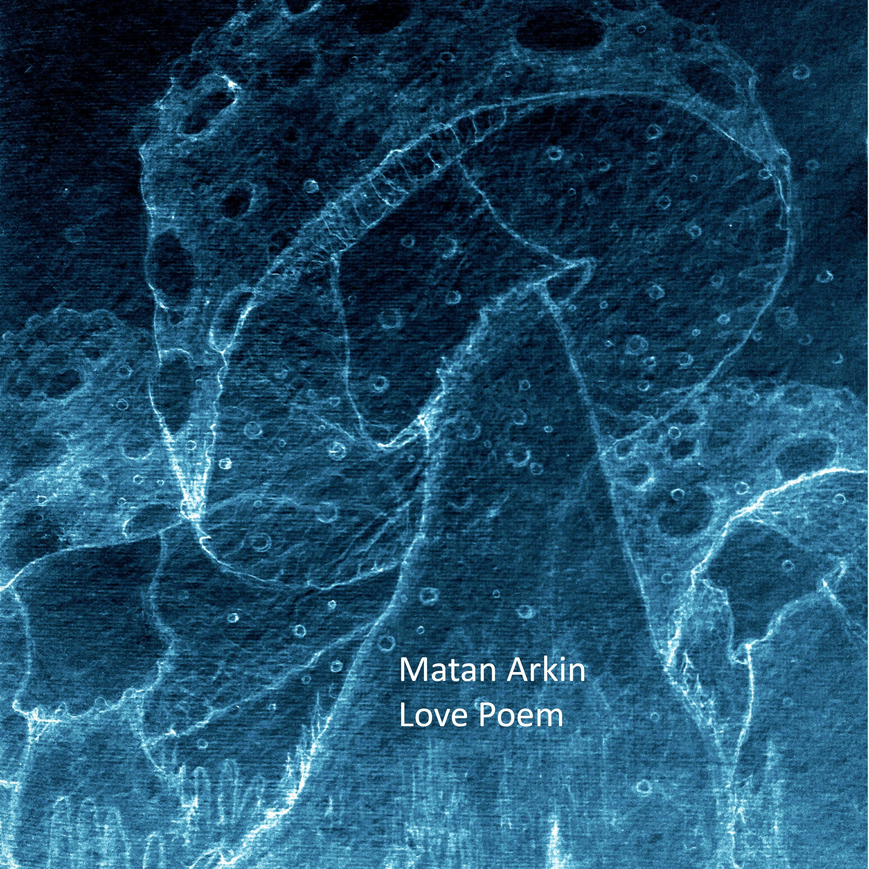 Matan Arkin