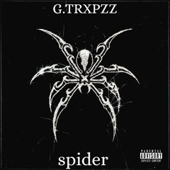 Spider 🕷