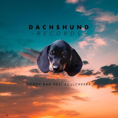 Dachshund Records Doggy Bag 006 - Soulcheeba
