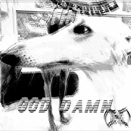 (H) - God Damn