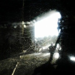 Better Not Wait Till Its Too Late