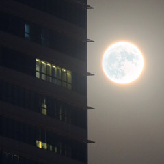 Too Many Question (Prod. Paprob)