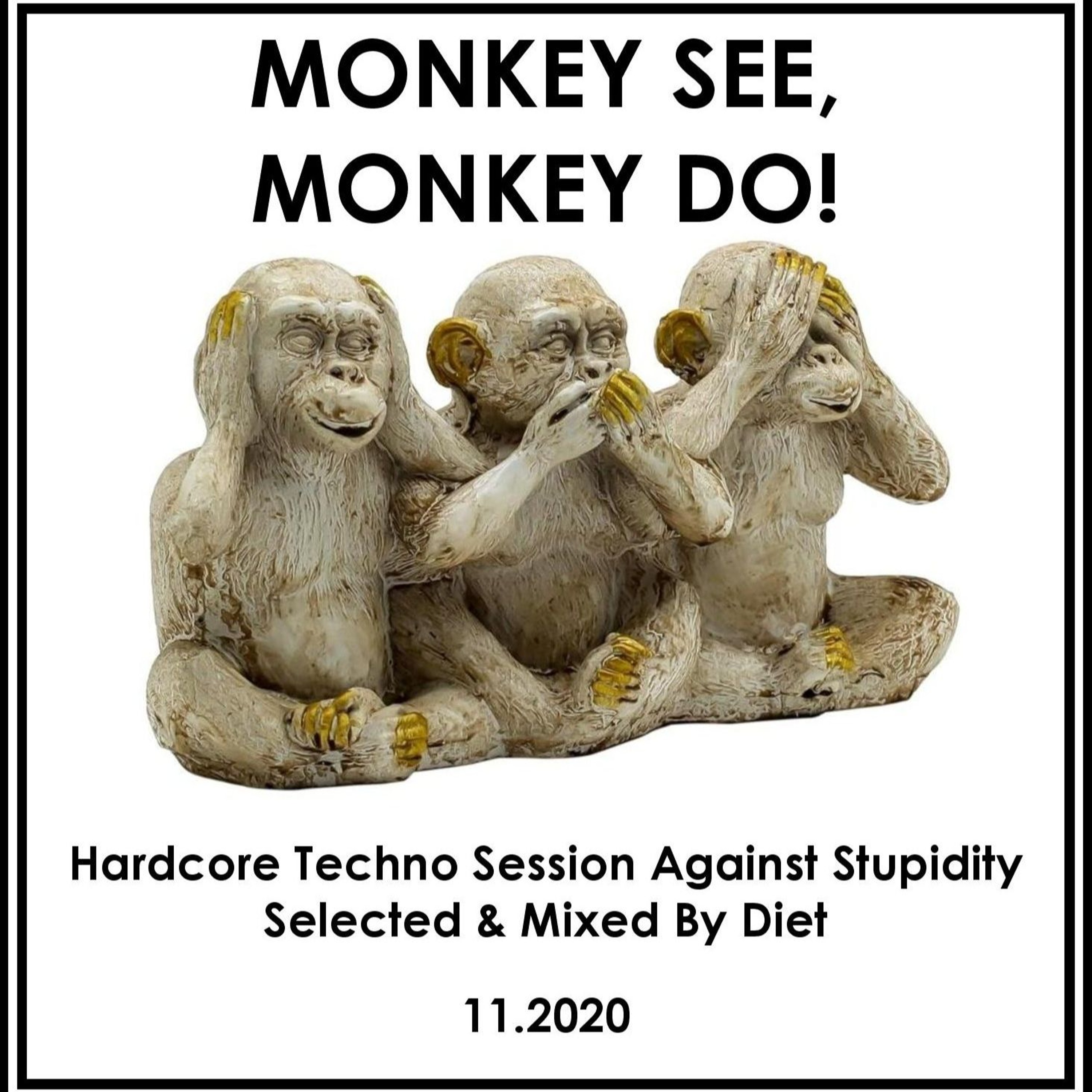 MONKEY SEE, MONKEY DO - Hardcore Techno Session Against Stupidity Selected & Mixed By Diet (11.2020) episode artwork