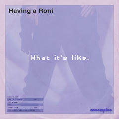Lost Dubs 009 - Having a Roni (2004)