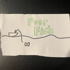 Poor Fish