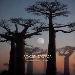 Rob Brainstorm, Kauffman -  Árvore Sagrada (Original Mix)