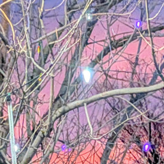 Always out of nowhere