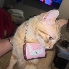 Astrokitty (rawcut)