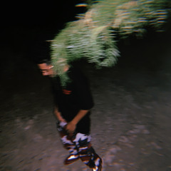 AINT TRU$T SH!T (BONUS) - BLAKKHART [Prod. BartCocaine]