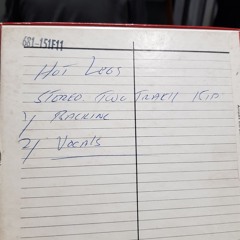 Hotlegs 1970 Recording You Didn't Like It Because You Didn't Think Of It