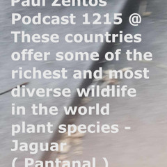 Paul Zentos Podcast 1215 @ These countries offer some of the richest and most diverse wildlife in the world plant species - Jaguar ( Pantanal ) 02 11 2025
