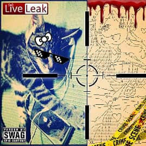 ⌐デ气亠₊⊹ 𝚕𝚊𝚜𝚎𝚛 (lálálálá) w/ lxceed