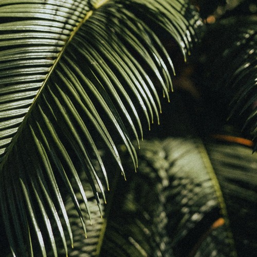 NIVEK - Relax My Eyes