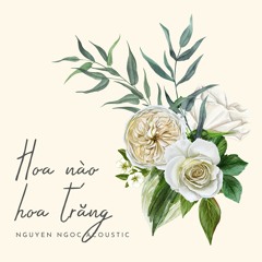 Hoa nào hoa trắng (Hoa nào anh quên) // (Acoustic)  - Nguyễn Ngọc