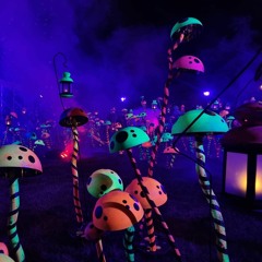 DTL - Megatrikz Guestmix