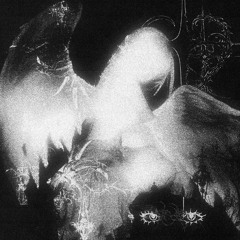 KREZUS, Navjaxx - pupils