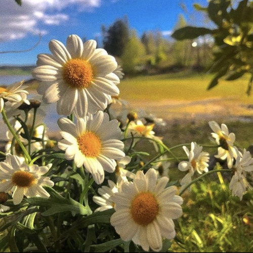 When I See You Smile