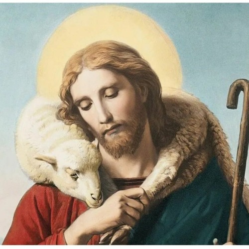 Stream Programa VIVER A LITURGIA DOMINGO