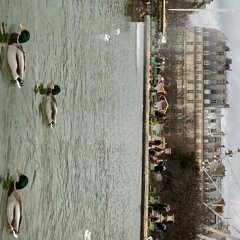 in times when rock and roll lived its muddy life