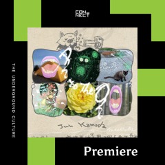 PREMIERE: Illreme - Ah To The Oh (Jun Kamoda Remix) [Jun Records]