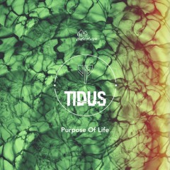 PREMIERE: TiDUs - Beyond Fear (Original Mix) [Wald-Musik]