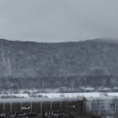 snowy mist hill (flamefrog