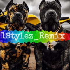 Right Here x Good Life [JC x Weedii x 1Stylex Remix] 2k25