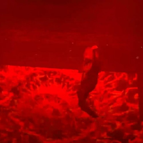 Spill Your Blood/Rage Room ID (Pyroific Extended edit)