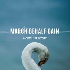 Evening Swan