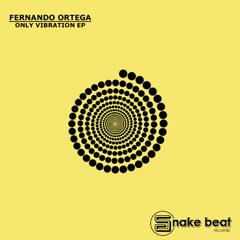 Fernando Ortega - I Can't Unwrite (SC EDIT)