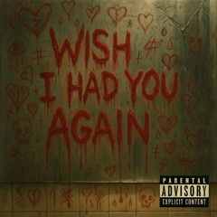 wish I had you again