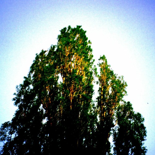 No More Sorry (slowed & reverb) MBV