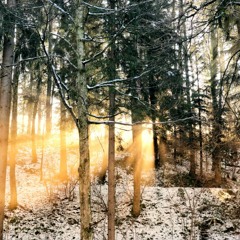 adrift in the forest:: Into the Winter Selections :: October 14th live on JungleTrain.net