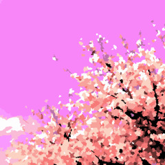 favorite flower