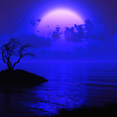 Moonlit Echoes (feat. Auy Adust)