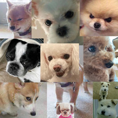 삜쏘밷