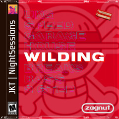 JKT NIGHT SESSIONS | WILDING | LIVE SET | 29.08.2025