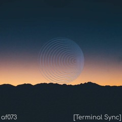 AF073 Terminal Sync