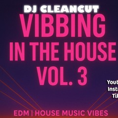 VIBBING IN THE HOUSE 3