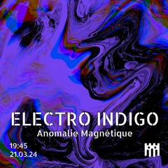 Electro Indigo - Anomalie Magnétique [21.03.24]