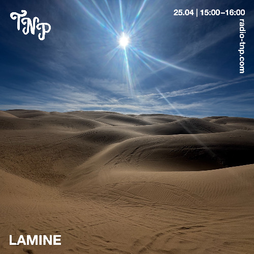 lamine