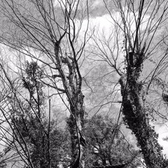 minor detail 【枝葉末節】